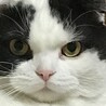 イロハ　4歳半　メス