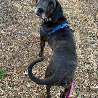 人大好きなジムさん