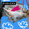 空を飛ぶしゃろん♡笑