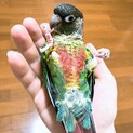 現在交渉中となります。