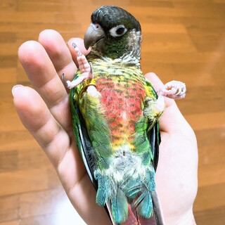 現在交渉中となります。