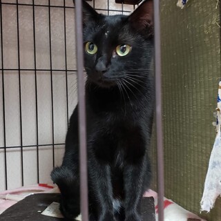 六つ子の母☆子を無事送り次は自分！