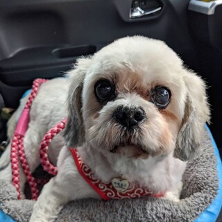 とっても穏やかな男の子 