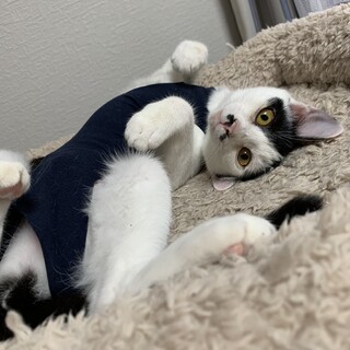 人馴れしてます！個性的なシロクロの女の子♀