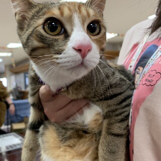 里親決定！♡とにかく愛嬌NO.１の千夏ちゃん♡