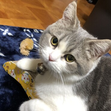 あたし今日も可愛いって言われたんだけど