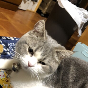 可愛い顔も疲れるんだよね〜