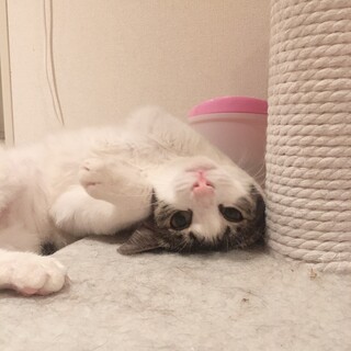 にこちゃん♡ご縁に恵まれました♡