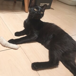 良縁に恵まれました(pq´v`*)