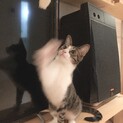 わくくん♡ご縁に恵まれました♡