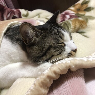 首を伸ばしてリラックス