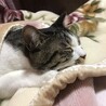 首を伸ばしてリラックス