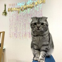 るる