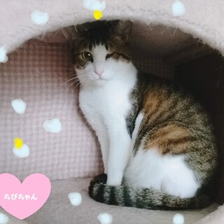 面倒見の良い「ちびちゃん」♪