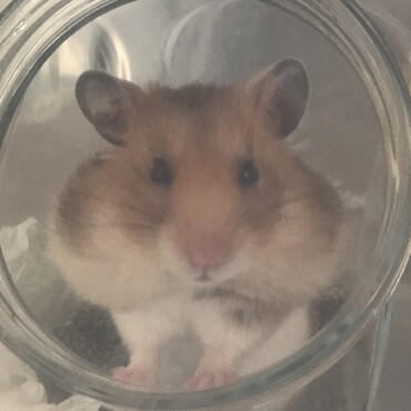 大きくなったなぁ。