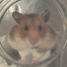 大きくなったなぁ。