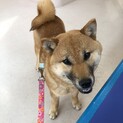 ステキなご縁頂きました。