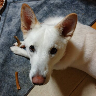 の写真