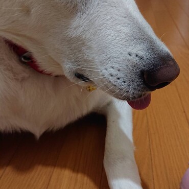 の写真