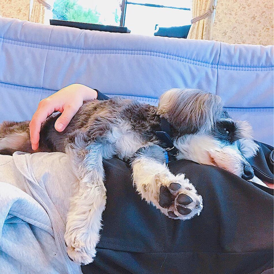 サリーのカバー写真