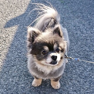 ☆素敵な家族ができました☆