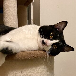 包容力では負けないスリゴロ男前のゴエモン