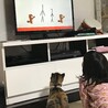 一緒に観たいの