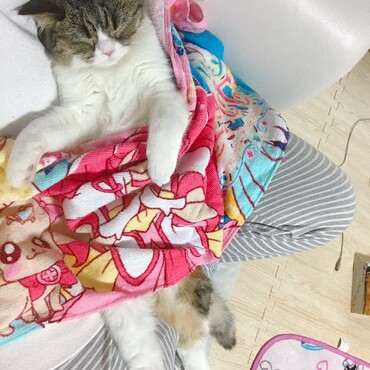 快適にゃ