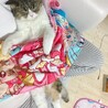 快適にゃ