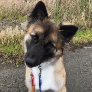 イケメン★ウォル君