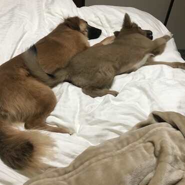 の写真