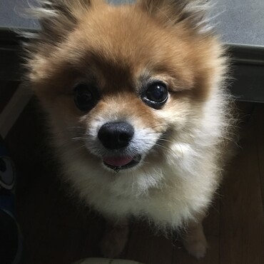 の写真