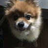 の写真