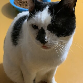 こころ癒される アオ君
