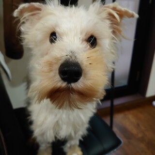 ご応募頂いた皆様、ありがとうございました!