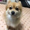 人懐こい女の子、ナナコちゃん♪ サムネイル2