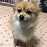 人懐こい女の子、ナナコちゃん♪ サムネイル3