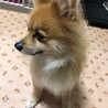 人懐こい女の子、ナナコちゃん♪ サムネイル5
