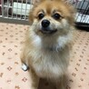 人懐こい女の子、ナナコちゃん♪ サムネイル4