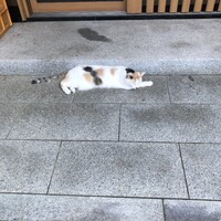 みろ