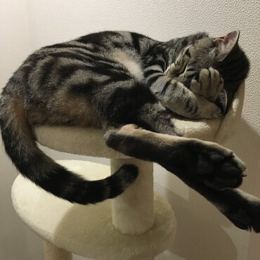 かわいい♡