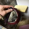 うちの子がどんどん大きくなる姿と甘えて甘噛みをしてくるのがとてつもなく可愛くて愛おしい(●︎´▽︎`●︎)