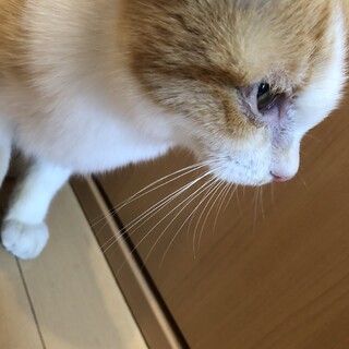SOS‼️助けてください