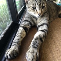 まめ