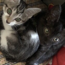 半月が経ちました