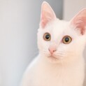 エイズキャリアの陽くん。激かわです！