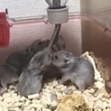 ありがとうございました！