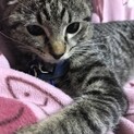 ビビちゃん！とても人懐っこいです