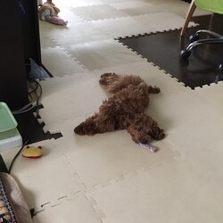 ストレス大爆発