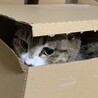 港区ミナト